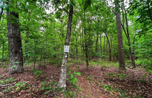 Coyote Cabin at Woodland Retreat at DeSoto beside DeSoto State Park - Foto 19