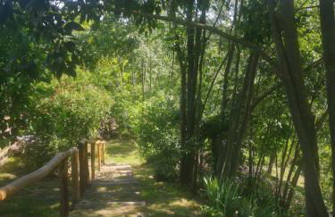 Il CHIOSTRO oasi di pace con antica cantina nel cuore del Monferrato Unesco - Foto 40