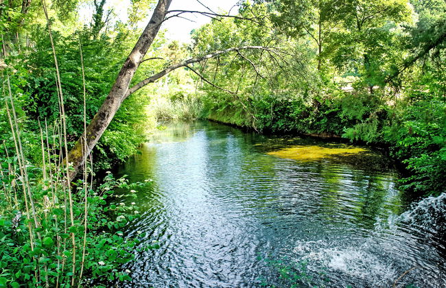 Il Cipresso - Foto 20