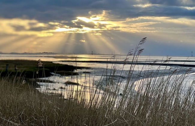 Ambiance Modern Retreat - Photo 26