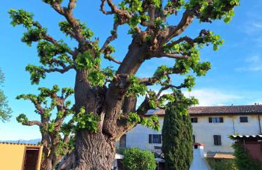 Agriturismo Le Caldane - Photo 20