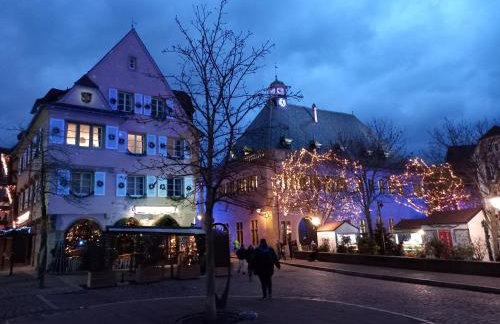 Maison proche du centre de Colmar - Chez Michel - Foto 19