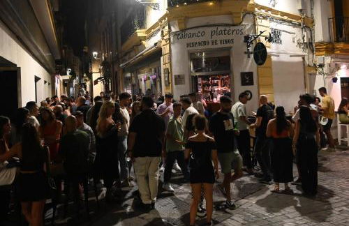 Bienvenidos a San Miguel - Foto 62