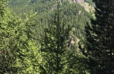 Les Orres Appartement dans le hameau du Mélezet - Foto 7