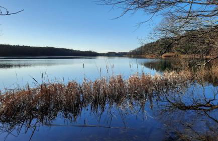 Vierseitenhof Hasenfelde - Ferienwohnung Feldblick - Foto 25