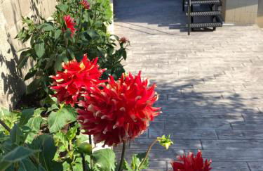 APARTAMENTO LA PICOTA - Foto 23