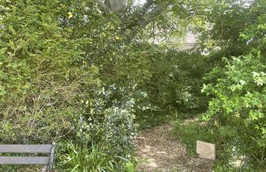 Welcome to Hazelwood, The Mount Somerton Apartment - modern and fully equipped, Private off-street parking, Near Glastonbury Tor, The spectacular Wells Cathedral, Stourhead, Sherborne Abbey, Millfield School, Clark's Village - Foto 35