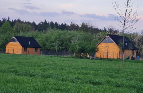 Przyjazna zagroda leśne runo - Foto 11