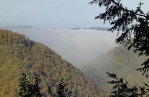 Holiday Home Moselle With Private Sauna - Foto 40