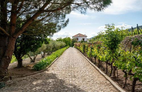 Casa do Vale - Retreat in the Douro Vineyards - Photo 3