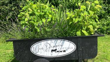 Wee Dipper Cottage Maybole - Foto 5