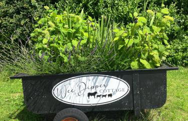 Wee Dipper Cottage Maybole - Foto 5