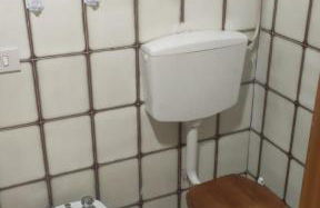 Agrifoglio - Foto 12