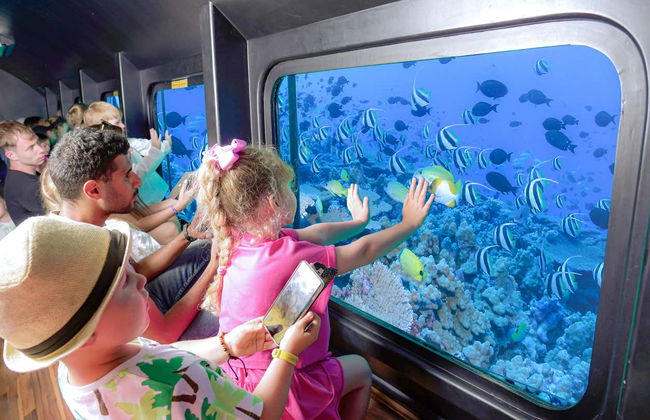 Paseo en barco con visión submarina por el Mar Rojo - Foto 6