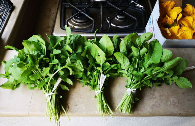 Country House in the Su Gologone Area 30 km From Cala Gonone 5 km From Oliena - Photo 79