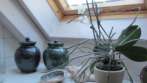 Ferienwohnung Spessart - Foto 5