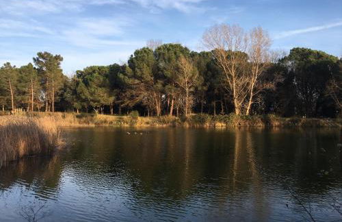 Mas Teixidor, Masia entre Girona y la Costa Brava - Foto 30