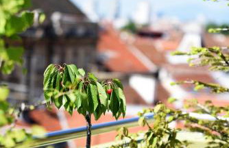 Zagreb Rooftops - Foto 11