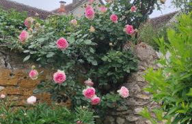 Gîte authentique près Zoo de Beauval et Châteaux - Photo 44