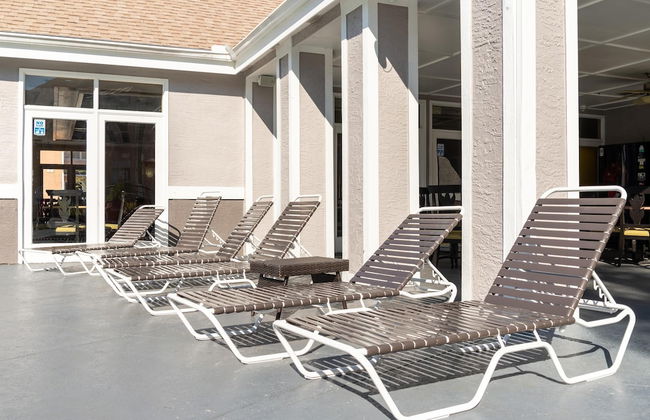 Palm Studio by Orlando Short Term - Foto 14