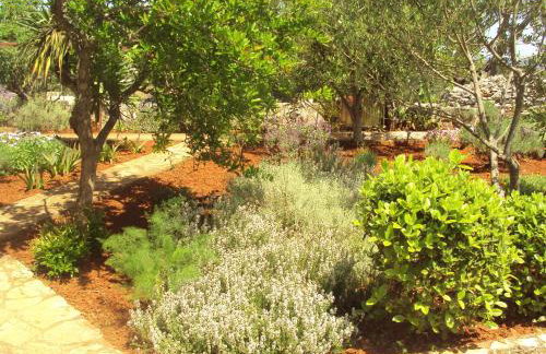 Apartments Basina - Foto 63