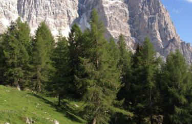 Cesa al Monech - Foto 28