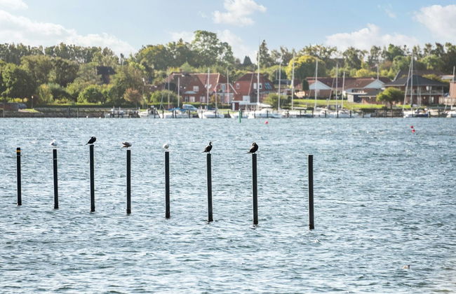 "Joar" - 5m to the fjord - Foto 4