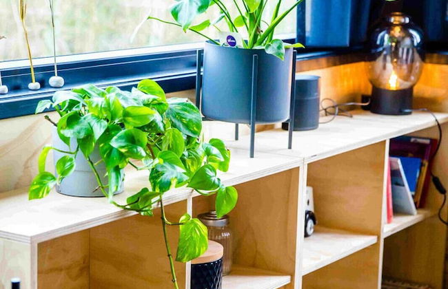 Waterlodge Reade Wikel - Foto 8