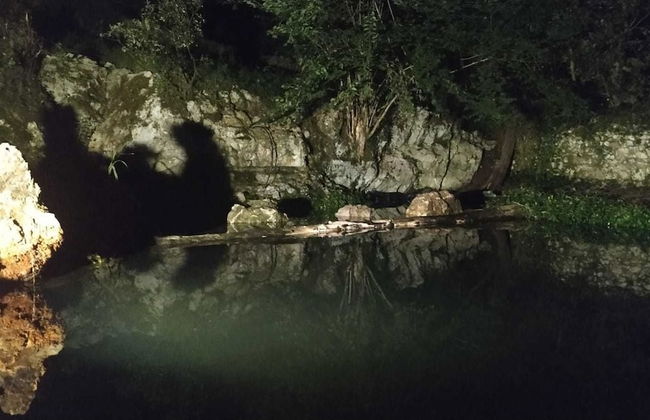 Bosque de Cuevas - Foto 58