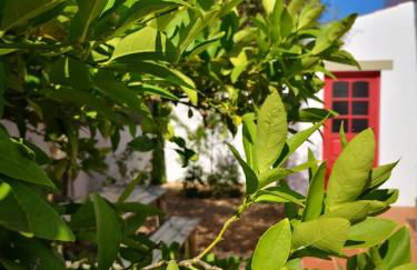 Casa da Alzira T1 - Foto 15