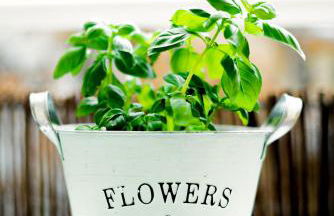 Helle Wohnung mit Balkon & moderner Küche - ideal für Paare mit Kind - Foto 9