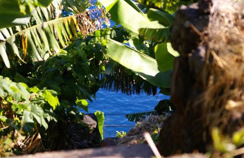 Torre Bella Gardens - Foto 51