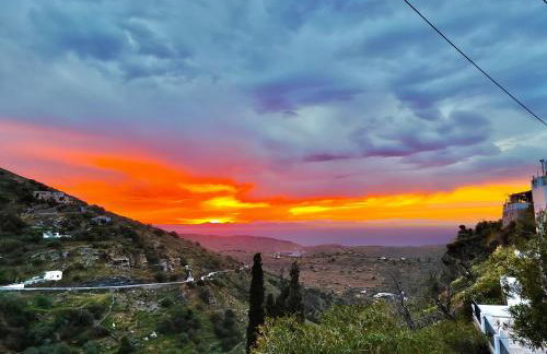 Ioulis Century Home - Photo 15