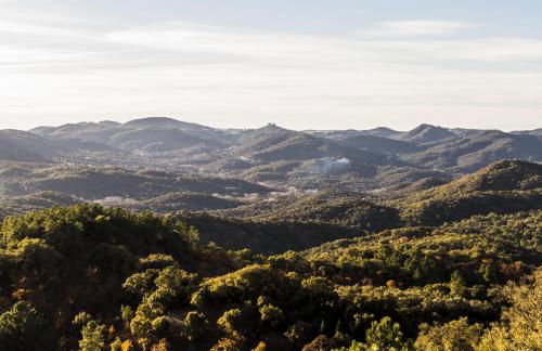 Pozuelo 1 JABUGO - Foto 12