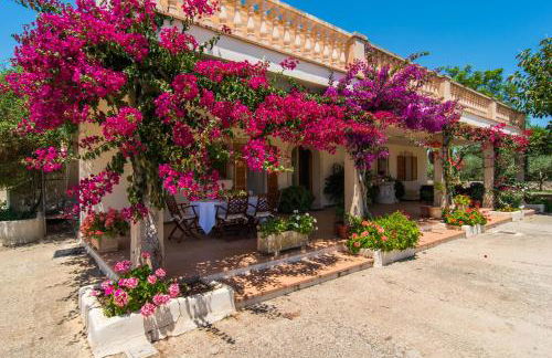 Villa Darder , Sa garriga - Foto 18