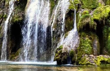 Le salinois - Foto 21