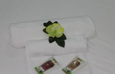 O Salgueiro - Foto 55