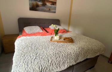 Apartmán Frauenberg - Haidmühle - Foto 12