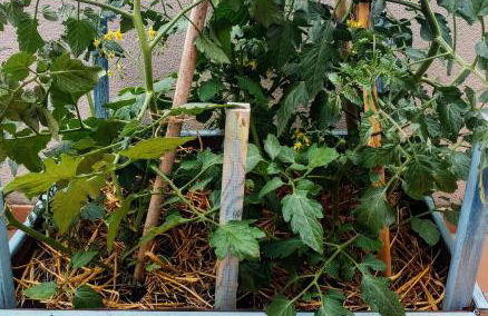 La terrasseta - Foto 41