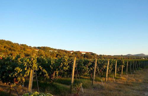 Casa do Vale-Villa with private pool and garden - Foto 31