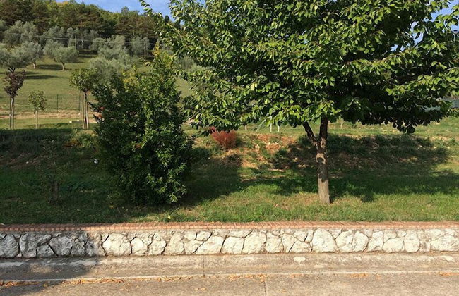 Agriturismo Tenuta del Daino - Photo 37