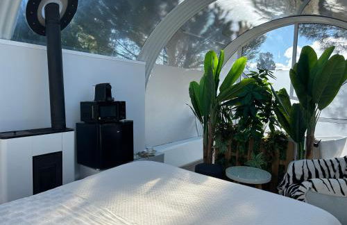 SKD Casa Amarilla Suite Rivera - Photo 6