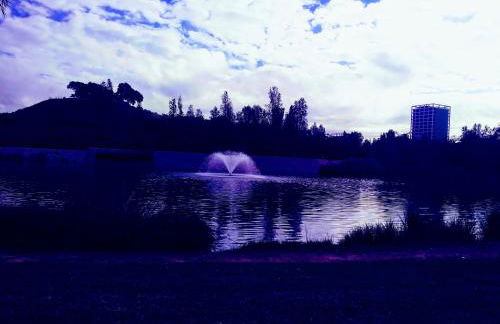 MÍ casa YOUR HOME - Photo 36