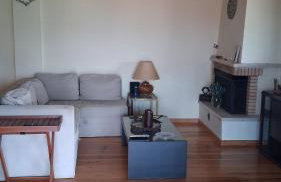 Aeria View - Foto 26