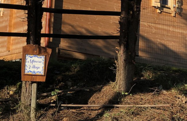 Mimosa Village - Foto 46