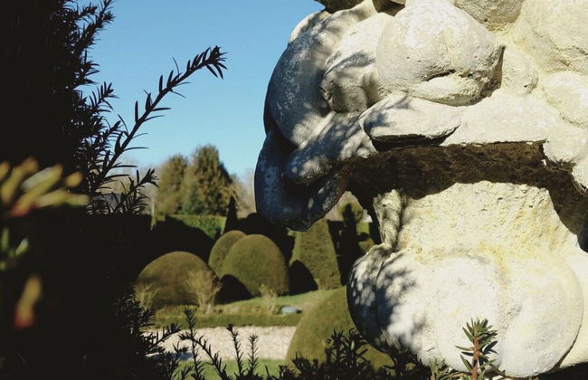 Domaine du Bosc Roger - Foto 79