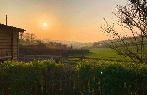 The Nest - Thatched seaside country cottage for two - Foto 22