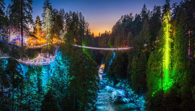 Grouse Mountain Day Trip - Photo 2