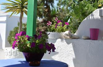 Paradise Garden Paros - Photo 18