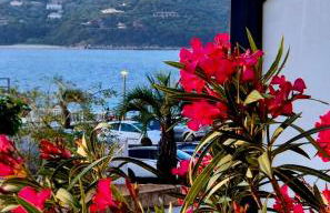 T2 de standing front de mer - Foto 15